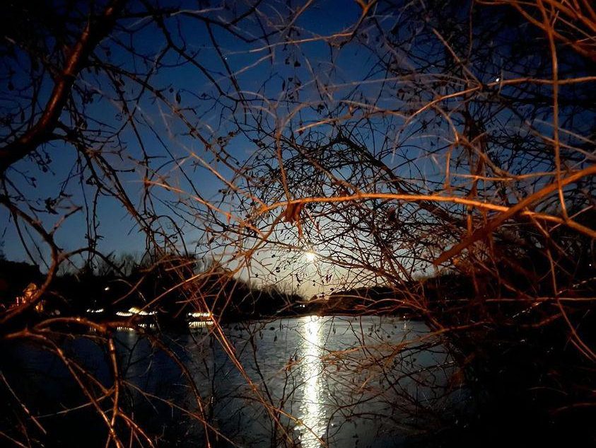 Contributor photography submission