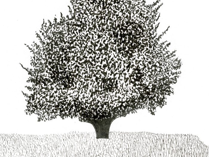 Contributor artwork submission