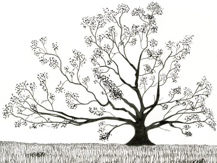 Contributor artwork submission