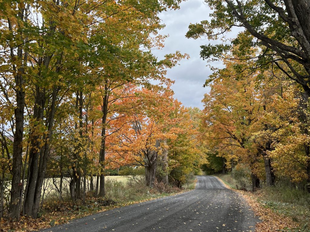 Photography Submissions