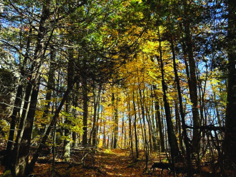 Why fall reading week needs a change 