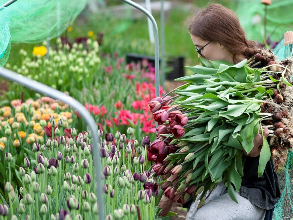 Bishop’s chooses local flowers for&nbsp;graduation