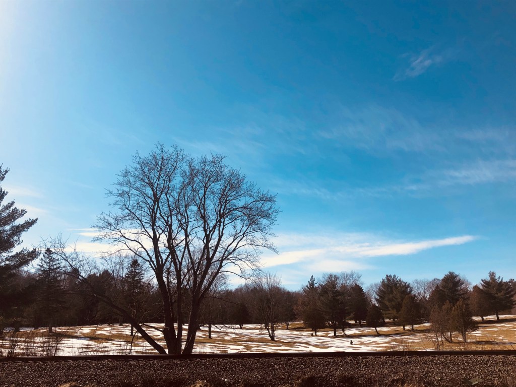 A letter to the wintertime 