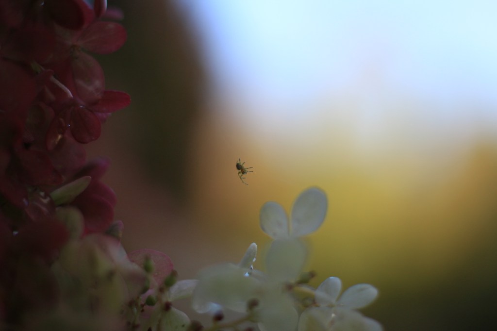 Small Moments in a Big&nbsp;World