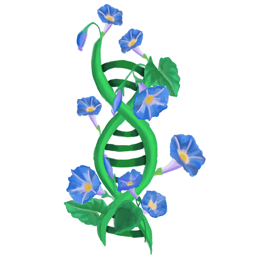 The B.E.S.T. project series: Exploring Joen Blumer and his internship experience at&nbsp;IRBV