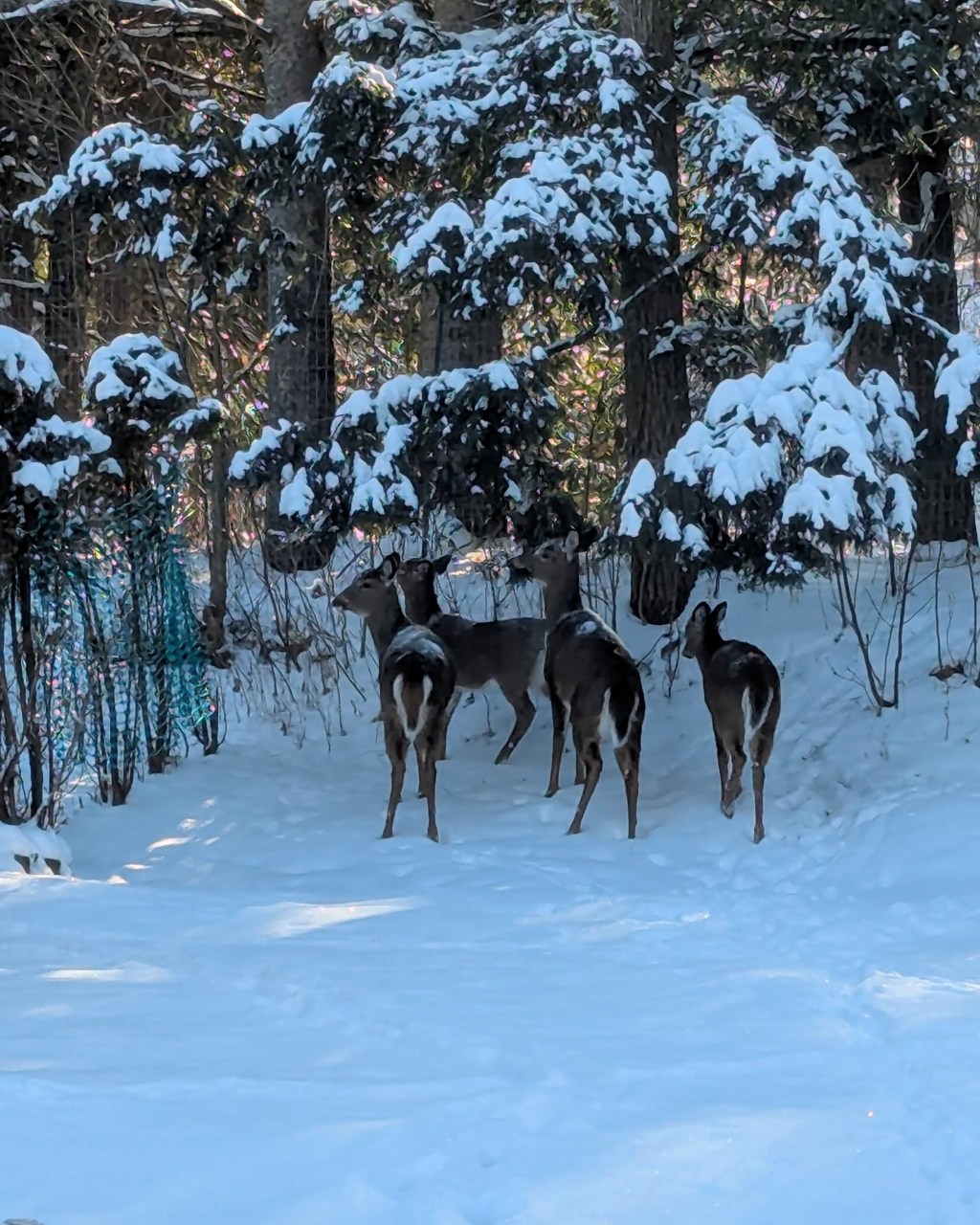 New Year, New Goals: Make resolutions fun in&nbsp;2025