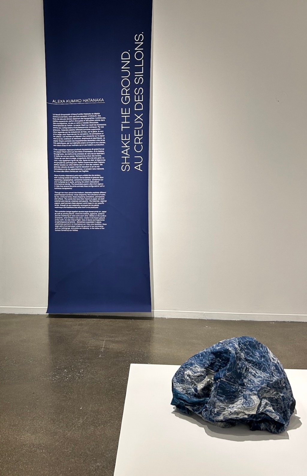 Foreman Art Gallery’s Shake the Ground: Au creux des sillons&nbsp;exhibit