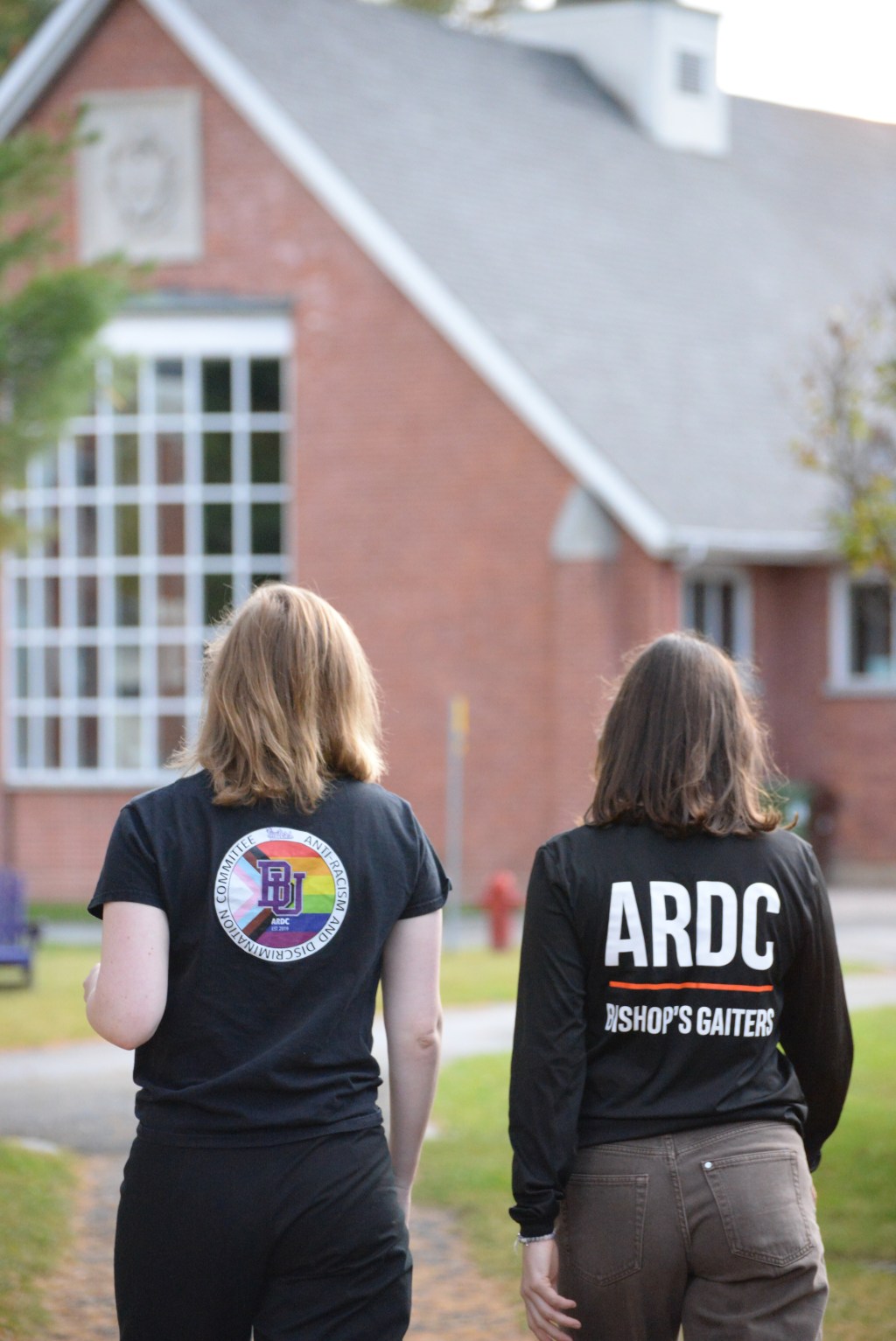 Transforming communities: The vision and work of the Anti-Racism and Discrimination Committee 